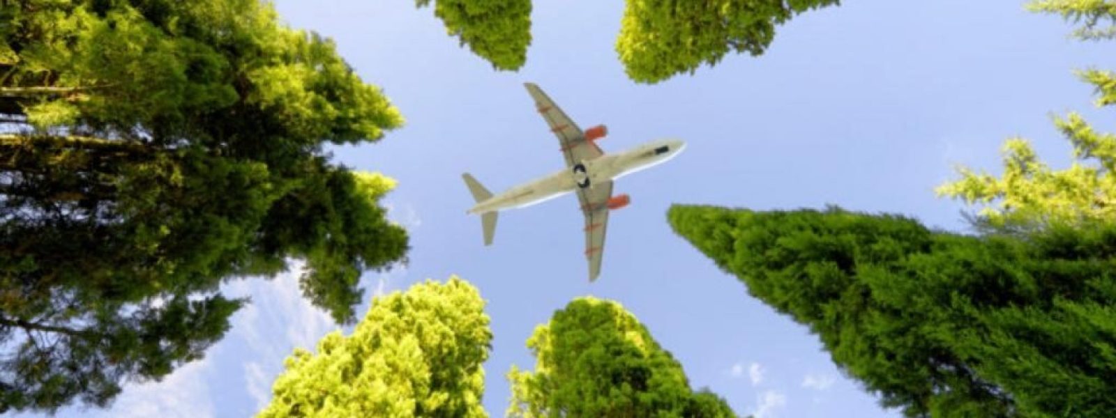 WTTC: Πώς η ταξιδιωτική βιομηχανία γίνεται πιο πράσινη