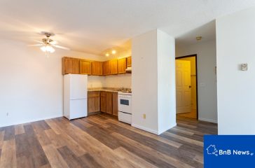 pomidΑ-pagida-i-rithmisi-gia