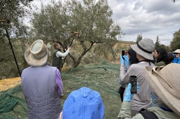 liomazema-sti-sparti-apo-Αmerikanous