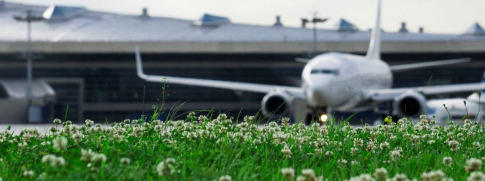 Ποιες είναι οι 10 «πράσινες» αεροπορικές εταιρείες στον κόσμο