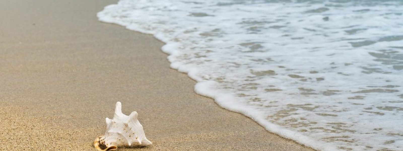 Κορωνησία: Το μαγικό «νησί» της Ηπείρου που οδηγείς… «πάνω» στο νερό