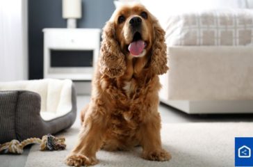 pos-na-kanete-to-Airbnb