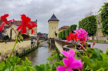 pios-dimofilis-proorismos-tis-ollandias